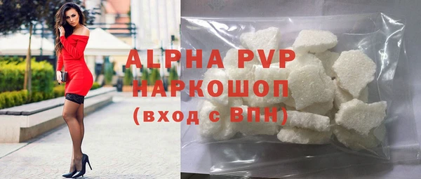 молекула духа Богородицк