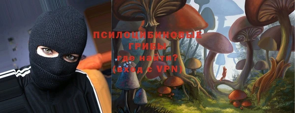 молекула духа Богородицк
