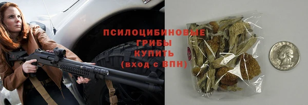 ECSTASY Богородск