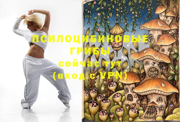 молекула духа Богородицк