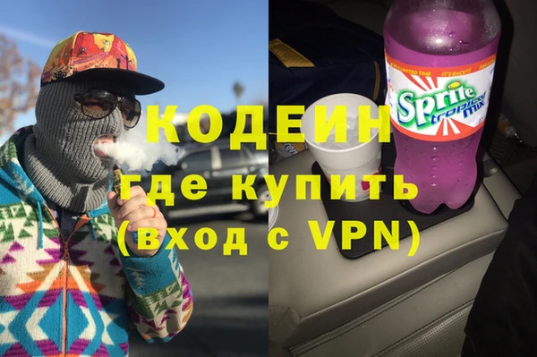 молекула духа Богородицк