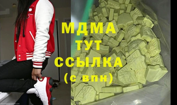 молекула духа Богородицк