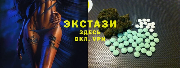 ECSTASY Богородск