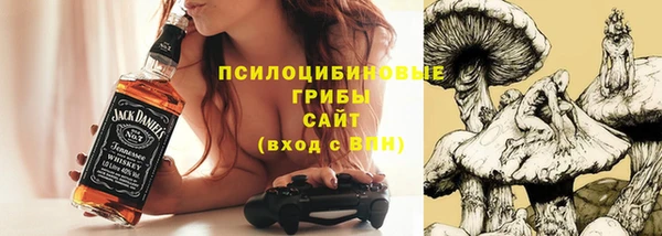 молекула духа Богородицк