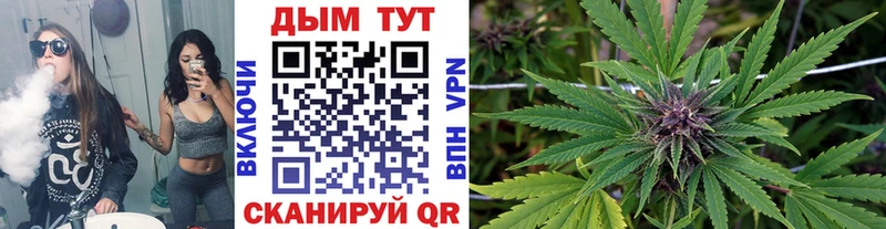 купить закладку  Берёзовка  Шишки марихуана THC 21% 